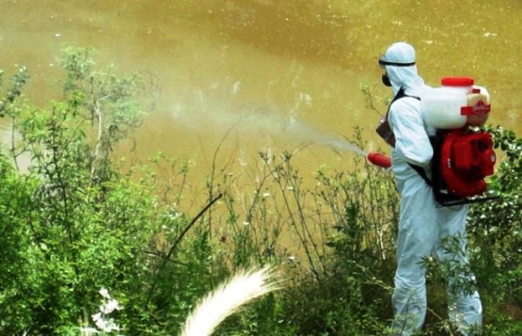 Δήμος Αλεξάνδρειας: Η Κίνηση των συνεργείων του Προγράμματος Καταπολέμησης Κουνουπιών για την εβδομάδα έως 12 Αυγούστου