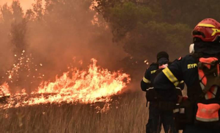 Οριοθετήθηκε η φωτιά που ξέσπασε στη Μικρά Σάντα Ημαθίας
