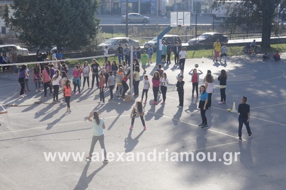 2ο Γυμνάσιο Αλεξάνδρειας:Πανελλήνια Ημέρα Σχολικού Αθλητισμού