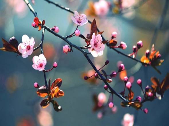 &Kappa;&alpha;&iota;&rho;ό&sigmaf;: &Mu;&iota;&kappa;&rho;ή ά&nu;&omicron;&delta;&omicron;&sigmaf; &tau;&eta;&sigmaf; &theta;&epsilon;&rho;&mu;&omicron;&kappa;&rho;&alpha;&sigma;ί&alpha;&sigmaf; &tau;&eta;&nu; &Tau;&epsilon;&tau;ά&rho;&tau;&eta;