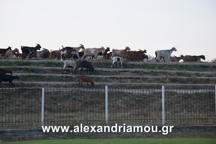 Η Φωτογραφία της ημέρας!