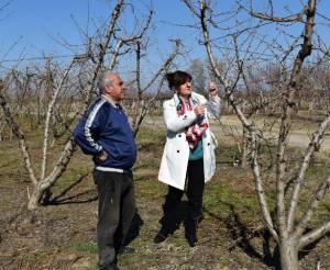 Φρόσω Καρασαρλίδου: «Άμεση ικανοποίηση των αιτημάτων των αγροτικών φορέων για τις ζημιές από τον παγετό»