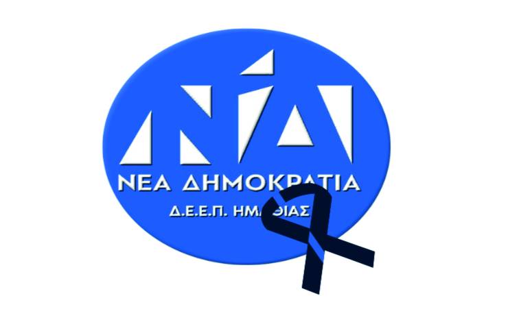 Δ.Ε.Ε.Π. ΝΔ Ημαθίας: ¨Η οικογένεια της ΝΔ στην Ημαθία είναι πλέον φτωχότερη¨