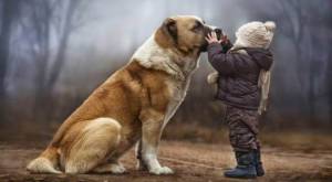 A Casa d&rsquo; Irene: &Mu;&iota;&alpha; &nu;έ&alpha; &phi;&iota;&lambda;&omicron;&zeta;&omega;&iota;&kappa;ή &phi;&omega;&nu;ή &sigma;&tau;&eta;&nu; &Alpha;&lambda;&epsilon;&xi;ά&nu;&delta;&rho;&epsilon;&iota;&alpha; &Eta;&mu;&alpha;&theta;ί&alpha;&sigmaf;