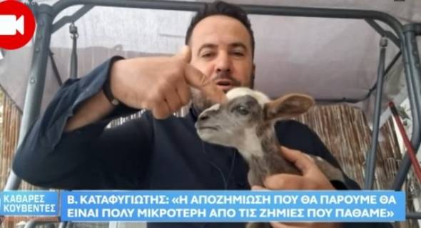 Συγκλονίζει ο κτηνοτρόφος Β. Καταφυγιώτης για τα μέτρα ευλογιάς: «Αυτό το αρνάκι γεννήθηκε χθες και θα το σκοτώσουν»