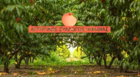 &Gamma;&epsilon;&nu;&iota;&kappa;ή &sigma;&upsilon;&nu;έ&lambda;&epsilon;&upsilon;&sigma;&eta; &Alpha;&gamma;&rho;&omicron;&tau;&iota;&kappa;&omicron;ύ &Sigma;&upsilon;&lambda;&lambda;ό&gamma;&omicron;&upsilon; &Gamma;&epsilon;&omega;&rho;&gamma;ώ&nu; &Eta;&mu;&alpha;&theta;ί&alpha;&sigmaf; &tau;&eta;&nu; &Tau;&epsilon;&tau;ά&rho;&tau;&eta; 24 &Iota;&alpha;&nu;&omicron;&upsilon;&alpha;&rho;ί&omicron;&upsilon;