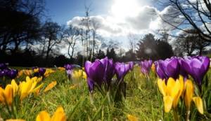 &Alpha;ί&theta;&rho;&iota;&omicron;&sigmaf; &omicron; &Kappa;&alpha;&iota;&rho;ό&sigmaf; &sigma;ή&mu;&epsilon;&rho;&alpha; &ndash; &Pi;ά&sigma;&chi;&alpha; &mu;&epsilon;&hellip;&omicron;&mu;&pi;&rho;έ&lambda;&epsilon;&sigmaf; &delta;&epsilon;ί&chi;&nu;&omicron;&upsilon;&nu; &tau;&alpha; &tau;&epsilon;&lambda;&epsilon;&upsilon;&tau;&alpha;ί&alpha; &pi;&rho;&omicron;&gamma;&nu;&omega;&sigma;&tau;&iota;&kappa;ά