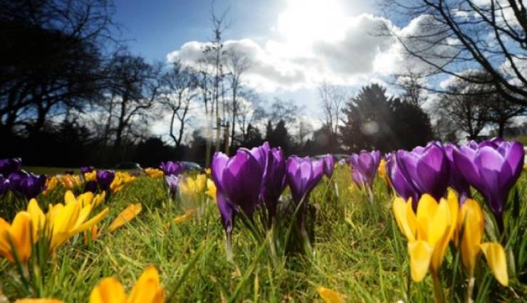 &Alpha;ί&theta;&rho;&iota;&omicron;&sigmaf; &omicron; &Kappa;&alpha;&iota;&rho;ό&sigmaf; &sigma;ή&mu;&epsilon;&rho;&alpha; &ndash; &Pi;ά&sigma;&chi;&alpha; &mu;&epsilon;&hellip;&omicron;&mu;&pi;&rho;έ&lambda;&epsilon;&sigmaf; &delta;&epsilon;ί&chi;&nu;&omicron;&upsilon;&nu; &tau;&alpha; &tau;&epsilon;&lambda;&epsilon;&upsilon;&tau;&alpha;ί&alpha; &pi;&rho;&omicron;&gamma;&nu;&omega;&sigma;&tau;&iota;&kappa;ά