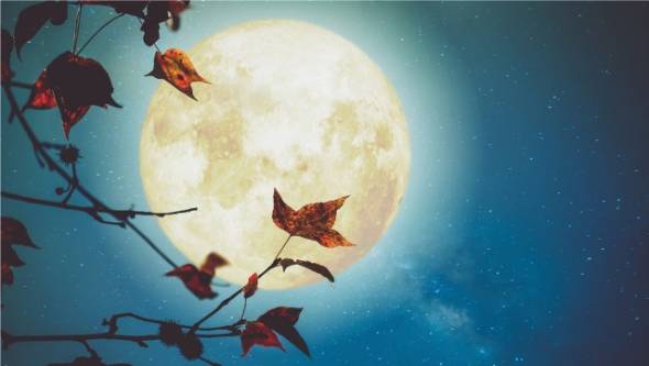 Πανσέληνος Οκτωβρίου: Πότε θα δούμε το «Φεγγάρι της Συγκομιδής» - Τι την κάνει την πιο ξεχωριστή του χρόνου