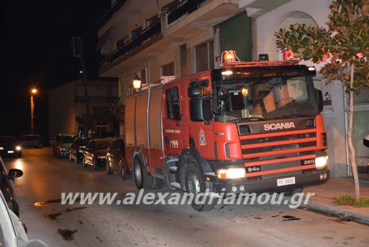 Φωτιά σε διαμέρισμα στην Αλεξάνδρεια (φώτο-βίντεο)