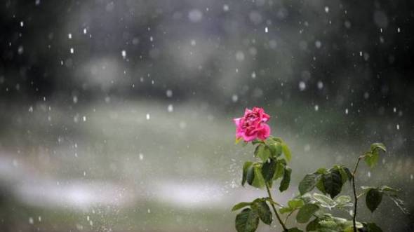 &laquo;&Phi;&theta;&iota;&nu;&omicron;&pi;&omega;&rho;&iota;&nu;ό&sigmaf;&raquo; &omicron; &kappa;&alpha;&iota;&rho;ό&sigmaf; &tau;&eta;&sigmaf; &Delta;&epsilon;&upsilon;&tau;έ&rho;&alpha;&sigmaf;