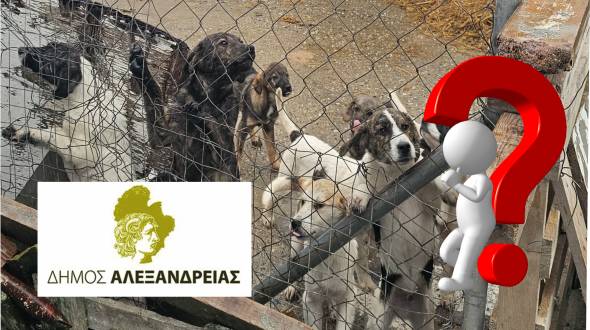 Ό&lambda;&alpha; &sigma;&tau;&omicron; &phi;&omega;&sigmaf;: &Eta; &upsilon;&pi;ό&theta;&epsilon;&sigma;&eta; &tau;&omega;&nu; &alpha;&delta;έ&sigma;&pi;&omicron;&tau;&omega;&nu; &sigma;&tau;&omicron;&nu; &Delta;ή&mu;&omicron; &Alpha;&lambda;&epsilon;&xi;ά&nu;&delta;&rho;&epsilon;&iota;&alpha;&sigmaf; &delta;&epsilon;&nu; &theta;&alpha; &kappa;&lambda;&epsilon;ί&sigma;&epsilon;&iota; &chi;&omega;&rho;ί&sigmaf; &alpha;&pi;&alpha;&nu;&tau;ή&sigma;&epsilon;&iota;&sigmaf;