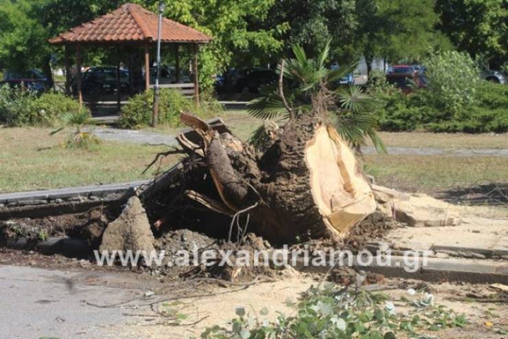 Αίτημα και από την Περιφερειακή Ενότητα Ημαθίας για την κήρυξη κατάστασης έκτακτης ανάγκης