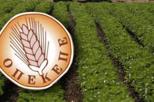 ΟΠΕΚΕΠΕ: Παράταση προθεσμίας υποβολής Ενιαίας Αίτησης Ενίσχυσης (ΕΑΕ) 2025