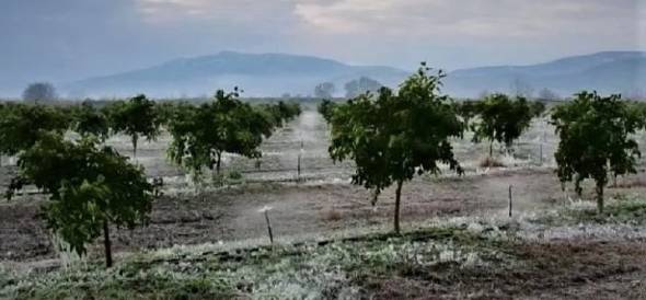 Ραντεβού για Δηλώσεις ζημιών από τον Παγετό της 21 Μαρτίου 2022 σε καλλιέργειες της ΔΤ/Κ Λουτρού