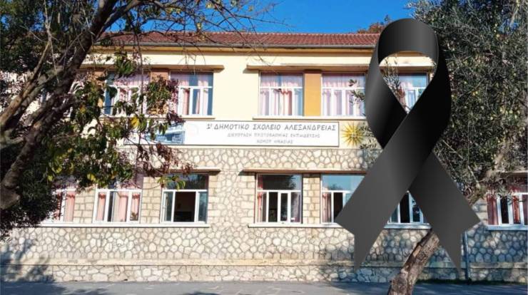 &Tau;&omicron; 1&omicron; &Delta;&eta;&mu;&omicron;&tau;&iota;&kappa;ό &Sigma;&chi;&omicron;&lambda;&epsilon;ί&omicron; &Alpha;&lambda;&epsilon;&xi;ά&nu;&delta;&rho;&epsilon;&iota;&alpha;&sigmaf; &alpha;&pi;&omicron;&chi;&alpha;&iota;&rho;&epsilon;&tau;ά &tau;&eta;&nu; &Epsilon;&iota;&rho;ή&nu;&eta; &Mu;ά&lambda;&alpha;&mu;&alpha;