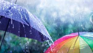 &Kappa;&alpha;&kappa;&omicron;&kappa;&alpha;&iota;&rho;ί&alpha; Erminio: &Nu;&epsilon;&phi;ώ&sigma;&epsilon;&iota;&sigmaf; &mu;&epsilon; &beta;&rho;&omicron;&chi;έ&sigmaf; &kappa;&alpha;&iota; &sigma;&pi;&omicron;&rho;&alpha;&delta;&iota;&kappa;έ&sigmaf; &kappa;&alpha;&tau;&alpha;&iota;&gamma;ί&delta;&epsilon;&sigmaf; &mu;έ&chi;&rho;&iota; &tau;&omicron; &alpha;&pi;ό&gamma;&epsilon;&upsilon;&mu;&alpha;