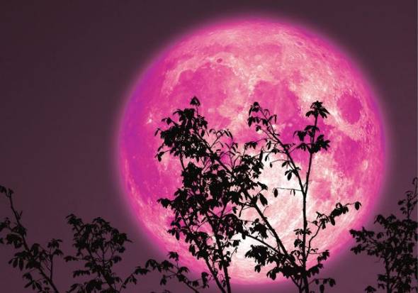 Πανσέληνος Ιουνίου 2023: Πότε θα δούμε το φεγγάρι της Φράουλας