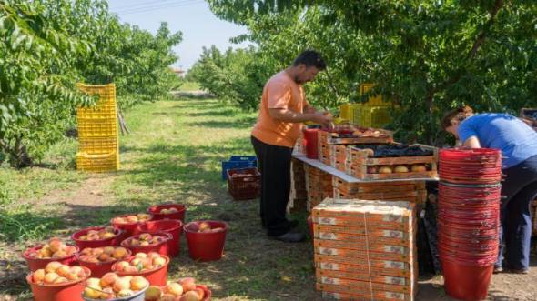 Στήριξη για επενδύσεις στη μεταποίηση, εμπορία και την ανάπτυξη γεωργικών προϊόντων