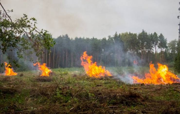 Τραγωδία στην Μελίκη - Κάηκε ζωντανός στο χωράφι του