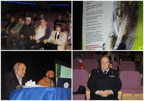 &Omicron; &Alpha;&rho;&kappa;&tau;&omicron;ύ&rho;&omicron;&sigmaf; &sigma;&epsilon; &sigma;&upsilon;&nu;&delta;&iota;&omicron;&rho;&gamma;ά&nu;&omega;&sigma;&eta; &mu;&epsilon; &tau;&omicron; &Delta;&alpha;&sigma;&alpha;&rho;&chi;&epsilon;ί&omicron; &Beta;έ&rho;&omicron;&iota;&alpha;&sigmaf; &mu;ί&lambda;&eta;&sigma;&epsilon; &gamma;&iota;&alpha; &tau;&omicron;&nu; &lambda;ύ&kappa;&omicron; &sigma;&tau;&eta;&nu; &Alpha;&lambda;&epsilon;&xi;ά&nu;&delta;&rho;&epsilon;&iota;&alpha;