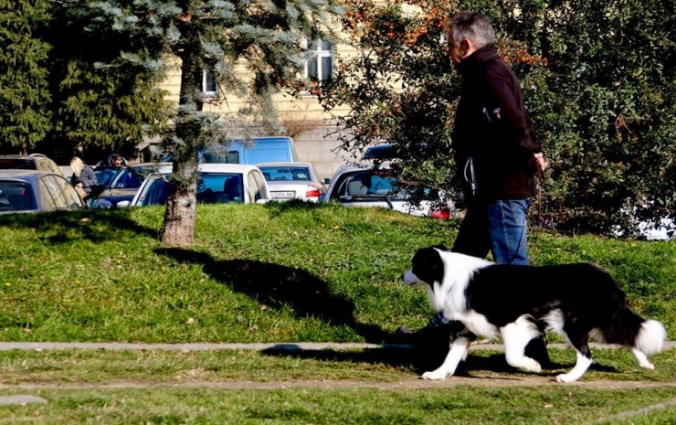 Πείτε όχι στο όχι!!!!&quot;, γράφει ο Μουμιάδης Δημοσθένης, Συμπεριφοριστής και Εκπαιδευτής Σκύλων