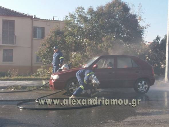 Φωτιά σε εν κινήσει Ι.Χ. στην Αλεξάνδρεια (Φώτο)