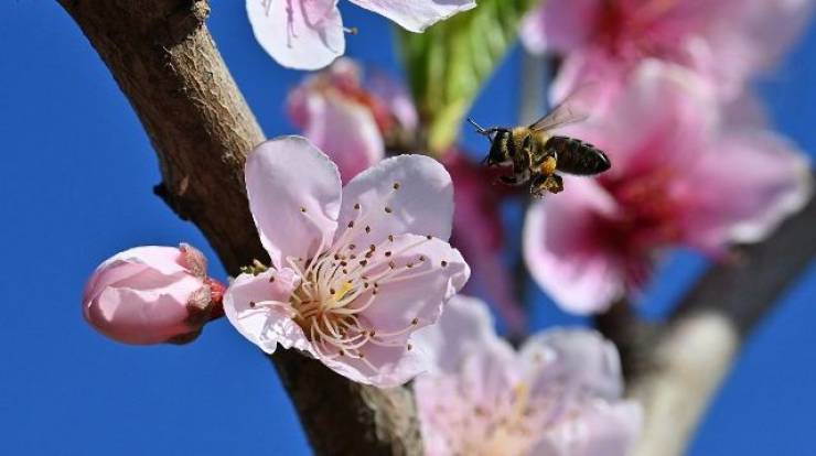 A&nu;&omicron;&iota;&xi;&iota;ά&tau;&iota;&kappa;&omicron;&sigmaf; o K&alpha;&iota;&rho;ό&sigmaf; &ndash; &Eta; &pi;&rho;ό&gamma;&nu;&omega;&sigma;&eta; &mu;έ&chi;&rho;&iota; &tau;&eta;&nu; &Tau;&rho;ί&tau;&eta; 28/4/2026