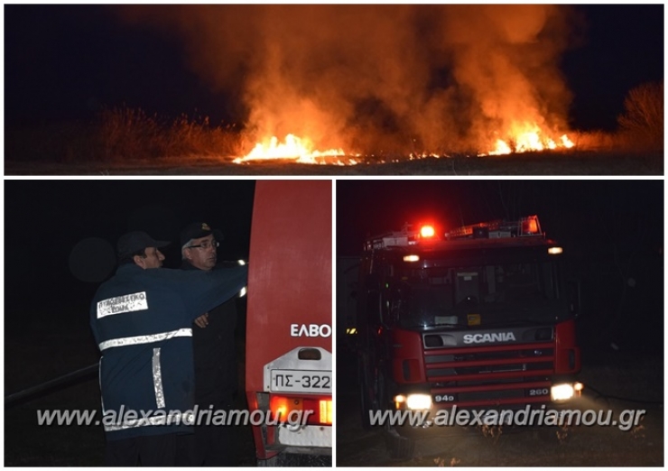 Φωτιά σε δημόσια οικοπεδική έκταση στο Βρυσάκι Ημαθίας