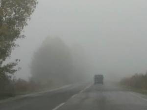Ορατότης μηδέν! Η ομίχλη «έπνιξε» τo Δήμο Αλεξάνδρειας