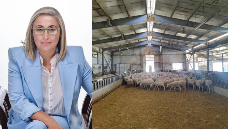 Στέλλα Αραμπατζή: Εξελίξεις για τις αποζημιώσεις και τις ρυθμίσεις υπέρ των κτηνοτρόφων