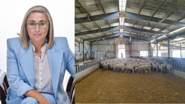 Στέλλα Αραμπατζή: Εξελίξεις για τις αποζημιώσεις και τις ρυθμίσεις υπέρ των κτηνοτρόφων