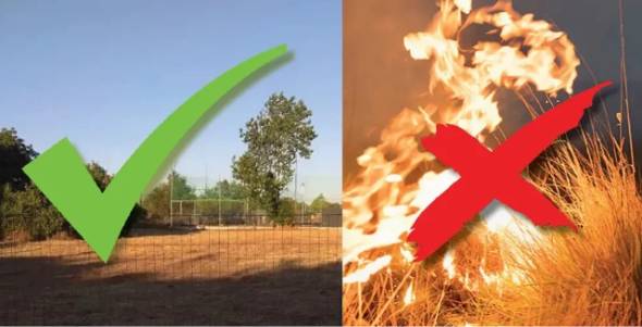 Δήμος Αλεξάνδρειας: Καθαρισμός οικοπέδων από τους ιδιοκτήτες ενόψει της αντιπυρικής περιόδου έτους 2025