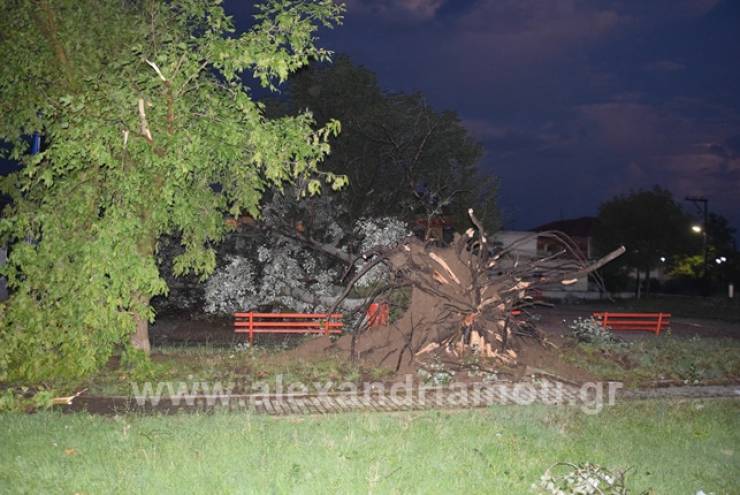 Βιβλική καταστροφή στα Τρίκαλα Ημαθίας, ανεμοστρόβιλος σάρωσε τα πάντα στο πέρασμά του