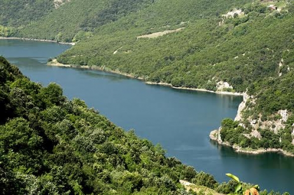 "&Sigma;&eta;&mu;&alpha;&nu;&tau;&iota;&kappa;ή &sigma;ύ&sigma;&kappa;&epsilon;&psi;&eta; &sigma;&tau;&omicron; &Alpha;&iota;&gamma;ί&nu;&iota;&omicron; &mu;&epsilon; &theta;έ&mu;&alpha; &tau;&eta;&nu; ά&rho;&delta;&epsilon;&upsilon;&sigma;&eta;"