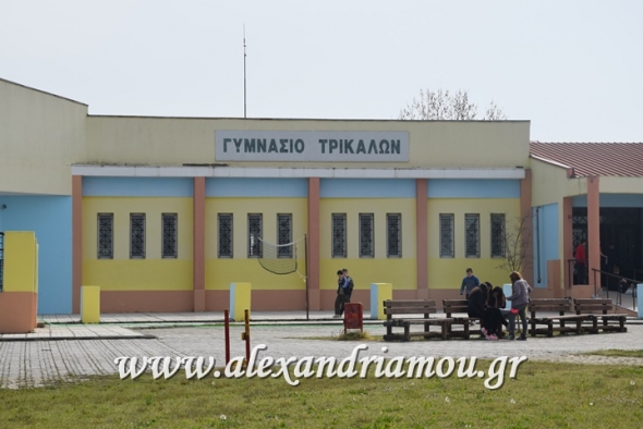 Εκμίσθωση του Σχολικού Κυλικείου του Γυμνασίου Τρικάλων