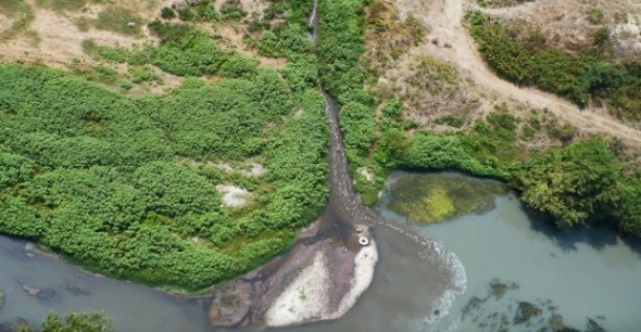 &Tau;ά&phi;&rho;&omicron;&sigmaf; 66: Έ&nu;&alpha; &delta;&eta;&lambda;&eta;&tau;ή&rho;&iota;&omicron; &pi;&omicron;&upsilon; &kappa;&upsilon;&lambda;ά &alpha;&delta;&iota;ά&kappa;&omicron;&pi;&alpha; &sigma;&epsilon; &Pi;έ&lambda;&lambda;&alpha; &kappa;&alpha;&iota; &Eta;&mu;&alpha;&theta;ί&alpha;