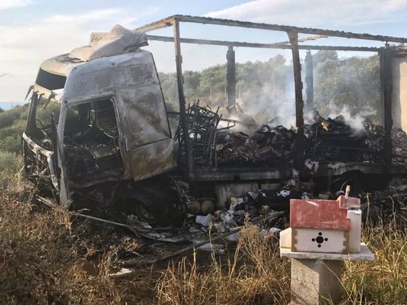 Τραγικό τροχαίο με 11 νεκρούς  - Κάηκαν ζωντανοί καθώς το όχημα τυλίχθηκε στις φλόγες