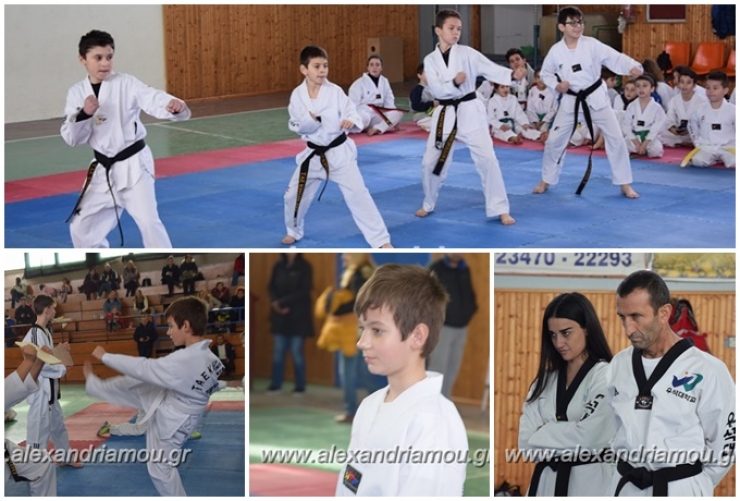ΦΙΛΙΠΠΟΣ Αλεξάνδρειας: Εξετάσεις για ζώνες στo TAE KWON DO(φωτο-βίντεο)