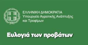 Ενημερωτικό για την ευλογιά των προβάτων  - Τα μέτρα  - Τι πρέπει να κάνουν οι κτηνοτρόφοι