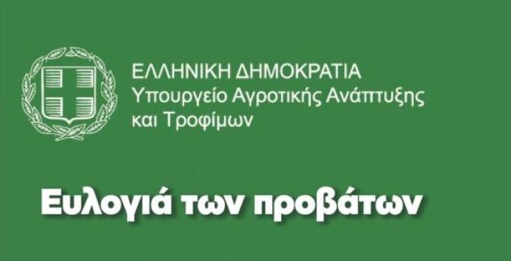 Ενημερωτικό για την ευλογιά των προβάτων  - Τα μέτρα  - Τι πρέπει να κάνουν οι κτηνοτρόφοι