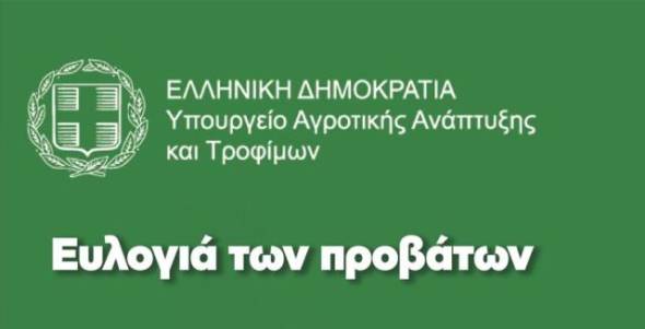 Ενημερωτικό για την ευλογιά των προβάτων  - Τα μέτρα  - Τι πρέπει να κάνουν οι κτηνοτρόφοι