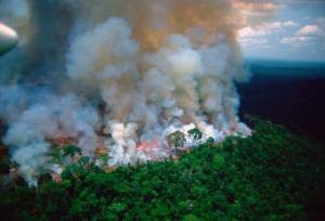 Αμαζόνιος: «Βαριανασαίνει» ο πλανήτης - Φλέγεται ο «πνεύμονας» της Γης