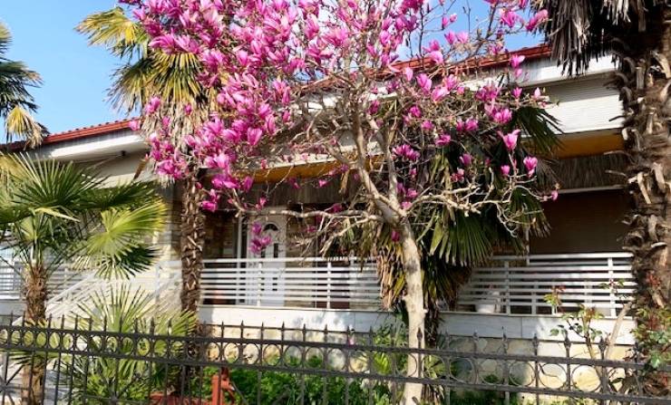 &Pi;&omega;&lambda;&epsilon;ί&tau;&alpha;&iota; &mu;&omicron;&nu;&omicron;&kappa;&alpha;&tau;&omicron;&iota;&kappa;ί&alpha; 140 &tau;.&mu;. &sigma;&tau;&omicron; &Nu;&eta;&sigma;ί &Eta;&mu;&alpha;&theta;ί&alpha;&sigmaf;