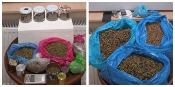 Χειροπέδες σε δύο 27χρονους για δύο κιλά κάνναβη που καλλιεργούσαν στην αυλή