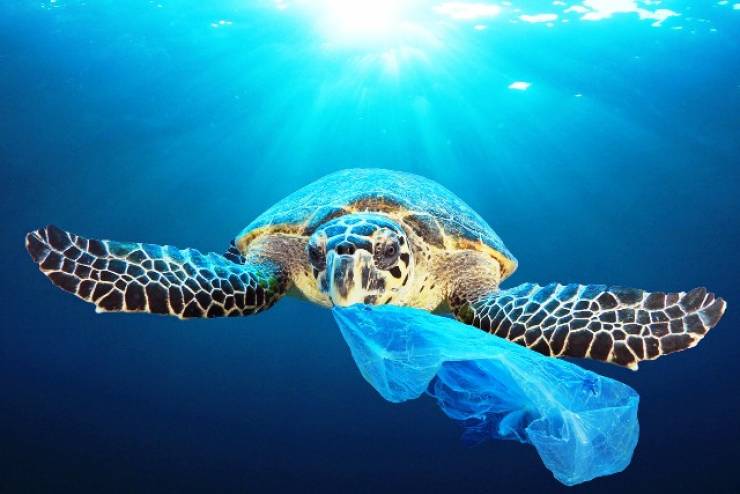 Πλαστικά μιας χρήσης: Τέλος από τον Ιούλιο του 2021 - Ποια προϊόντα θα απαγορευθούν