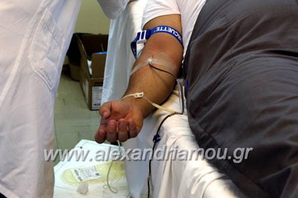 &Epsilon;&theta;&epsilon;&lambda;&omicron;&nu;&tau;&iota;&kappa;ή &Alpha;&iota;&mu;&omicron;&delta;&omicron;&sigma;ί&alpha; &tau;&eta;&nu; &Kappa;&upsilon;&rho;&iota;&alpha;&kappa;ή 6 &Sigma;&epsilon;&pi;&tau;&epsilon;&mu;&beta;&rho;ί&omicron;&upsilon; &sigma;&tau;&eta;&nu; T.K. &Tau;&rho;&iota;&kappa;ά&lambda;&omega;&nu;