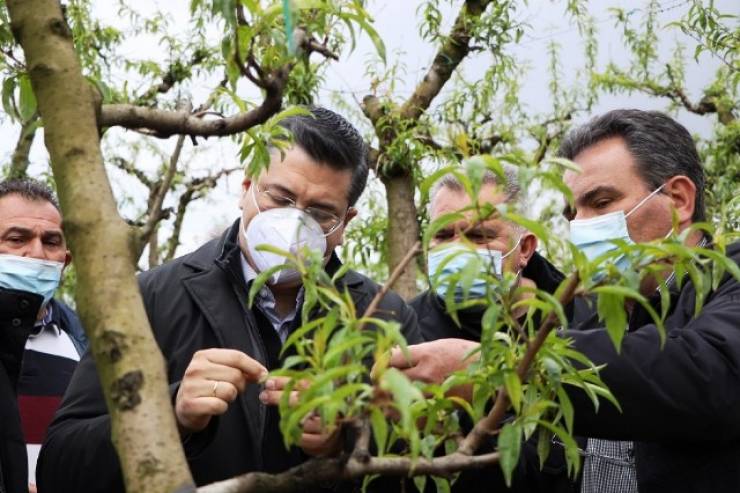 Πληγείσες από τον παγετό περιοχές της Ημαθίας και της Πέλλας επισκέφτηκε ο Περιφερειάρχης Κεντρικής Μακεδονίας