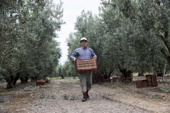 Νέο επιδότηση 14.000 ευρώ σε αγρότες με μικρές καλλιέργειες - Δείτε τα κριτήρια