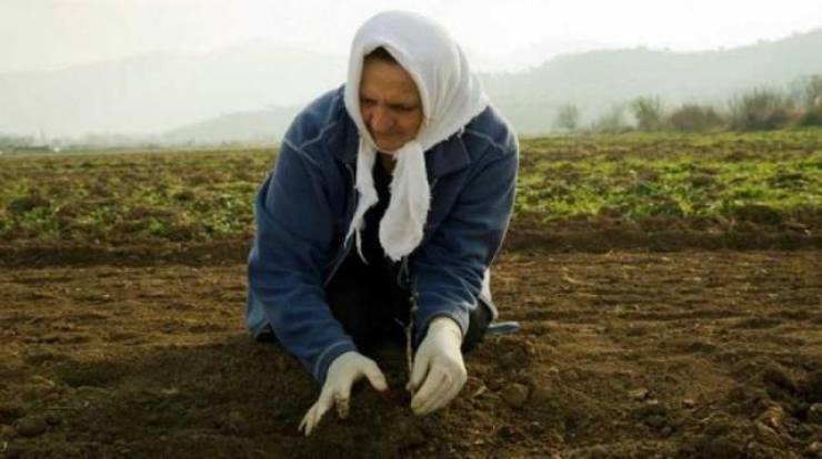 Για τη φτωχή αγρότισσα...γράφει η Ομάδα Γυναικών Νάουσας